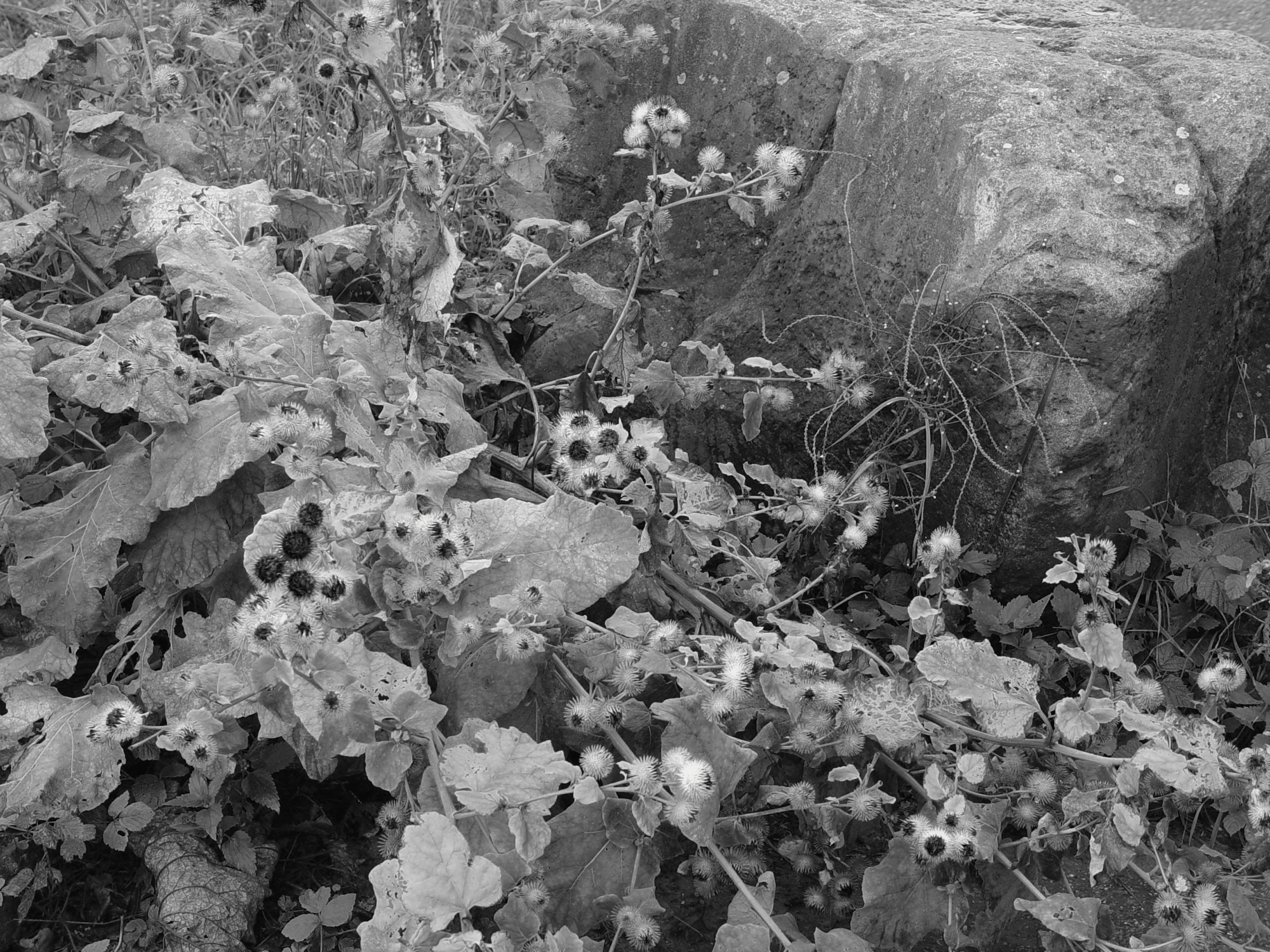 Bild 012