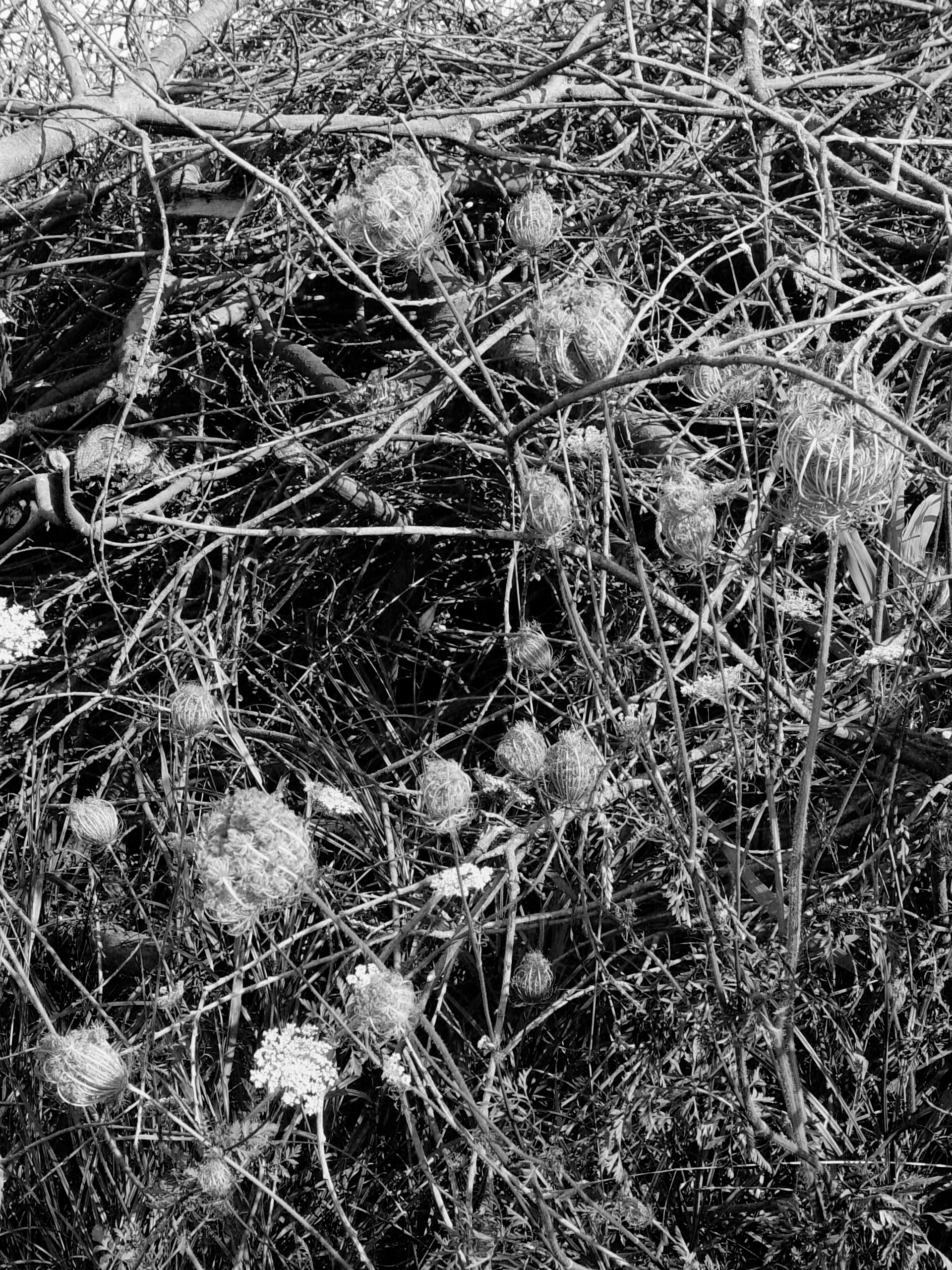 Bild 061