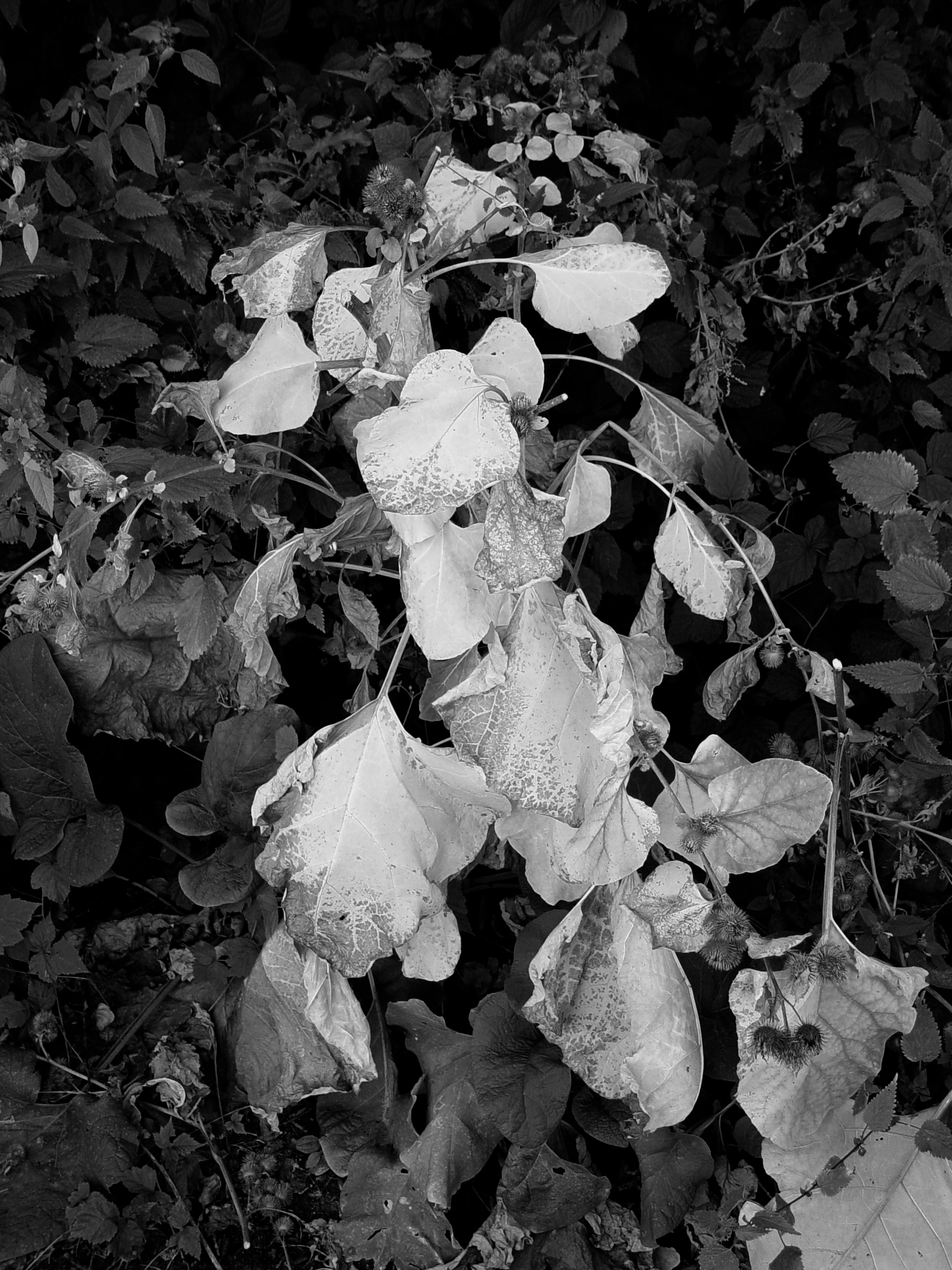 Bild 071